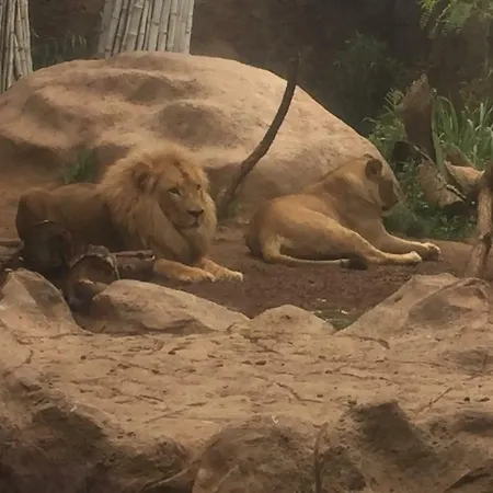 Apartment Grande Tenerife Abrigos