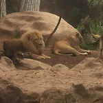 شقة Grande Tenerife Abrigos